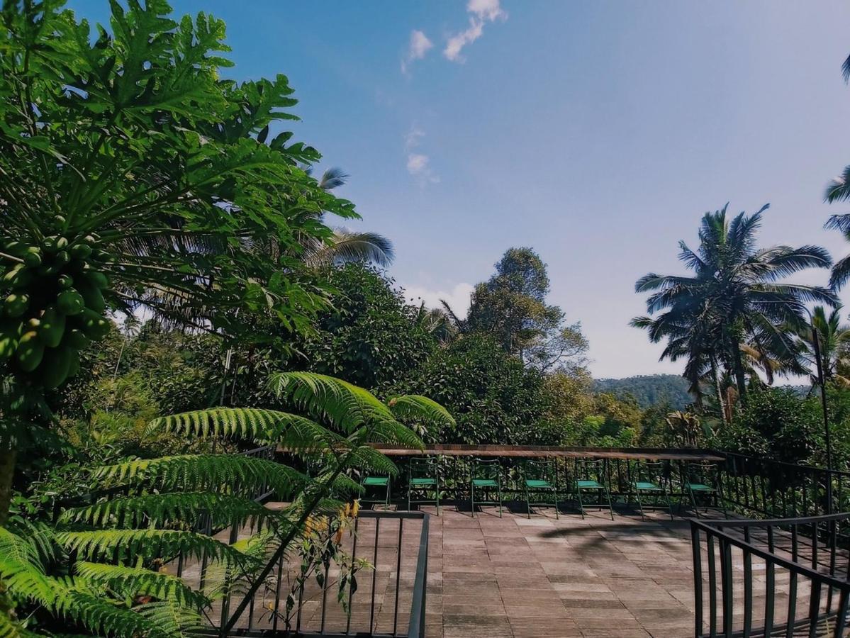 Kebun Kita Eco Lodge Padangan  Exterior photo